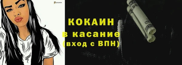 соль ск Алексин