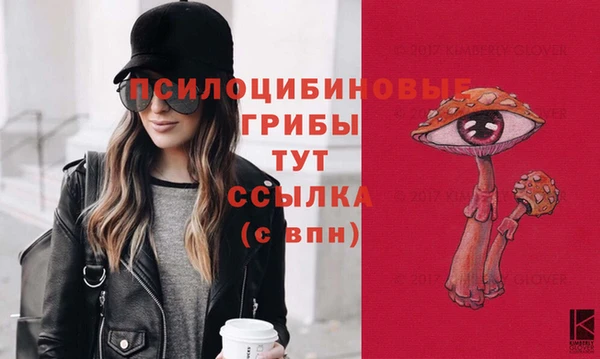 соль ск Алексин