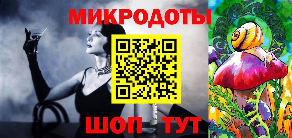 Псилоцибиновые грибы Psilocybe Гурьевск