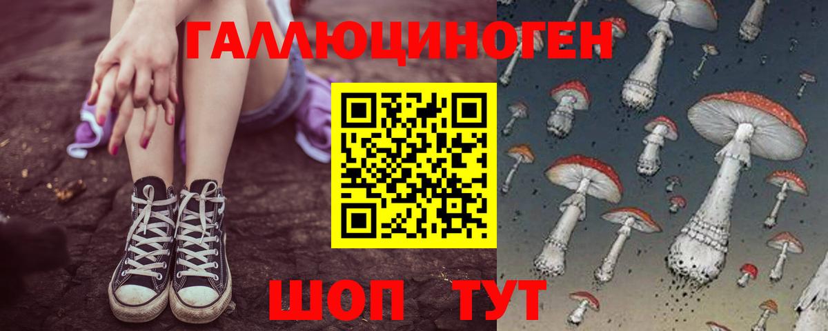 Гурьевск  Псилоцибиновые грибы Psilocybine cubensis  Галлюциногенные грибы Magic Shrooms  Вход с VPN 