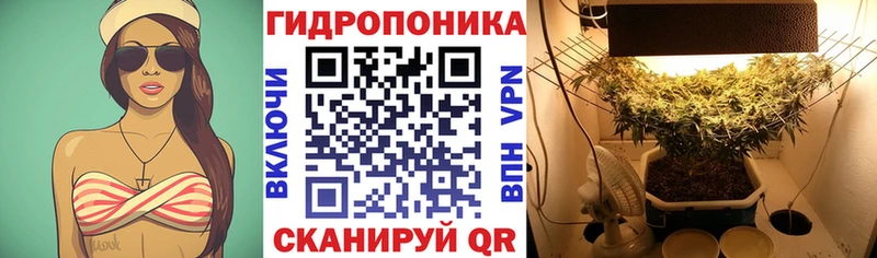 хочу   Гурьевск  Каннабис индика 
